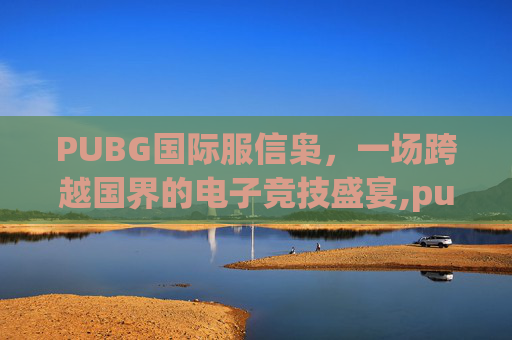 PUBG国际服信枭，一场跨越国界的电子竞技盛宴,pubg国际服信誉分提升