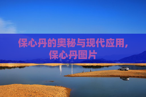 保心丹的奥秘与现代应用,保心丹图片
