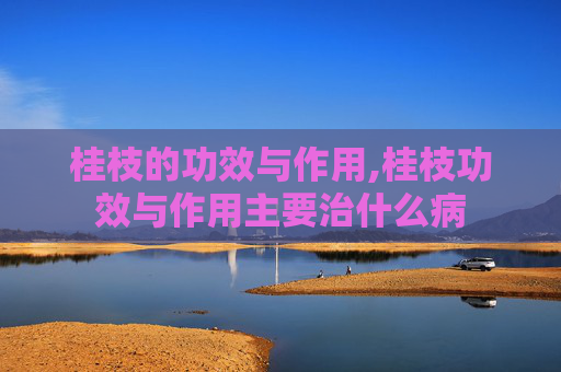 桂枝的功效与作用,桂枝功效与作用主要治什么病
