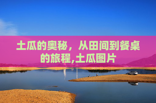 土瓜的奥秘，从田间到餐桌的旅程,土瓜图片