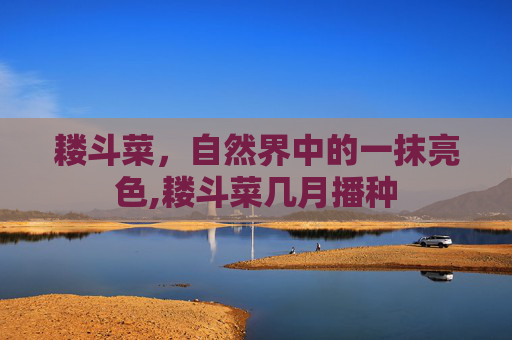 耧斗菜，自然界中的一抹亮色,耧斗菜几月播种