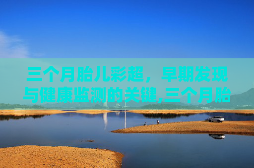 三个月胎儿彩超，早期发现与健康监测的关键,三个月胎儿彩超图