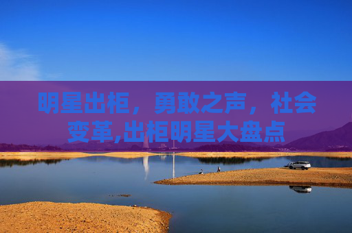 明星出柜，勇敢之声，社会变革,出柜明星大盘点