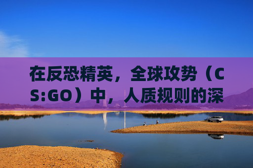 在反恐精英，全球攻势（CS:GO）中，人质规则的深度解析,csgo人质能放下吗