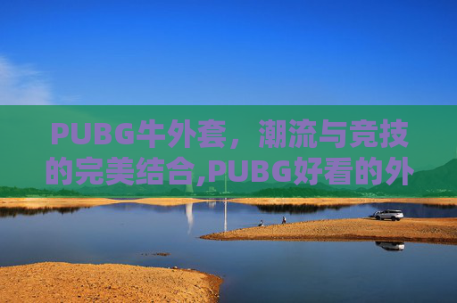 PUBG牛外套，潮流与竞技的完美结合,PUBG好看的外套