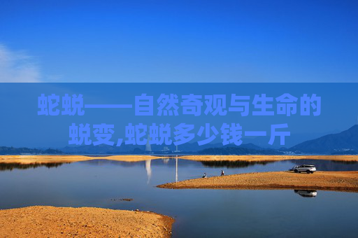 蛇蜕——自然奇观与生命的蜕变,蛇蜕多少钱一斤