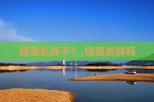 啤酒长胖不？,啤酒长胖吗