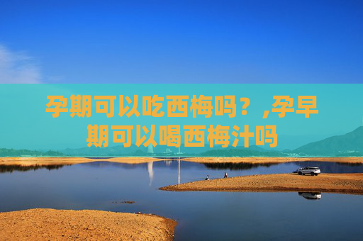 孕期可以吃西梅吗？,孕早期可以喝西梅汁吗
