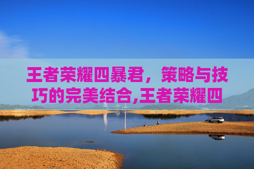 王者荣耀四暴君，策略与技巧的完美结合,王者荣耀四暴君是谁
