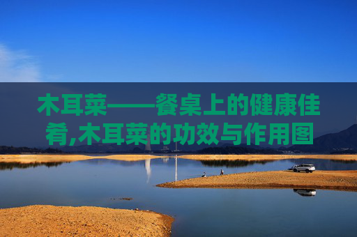 木耳菜——餐桌上的健康佳肴,木耳菜的功效与作用图片