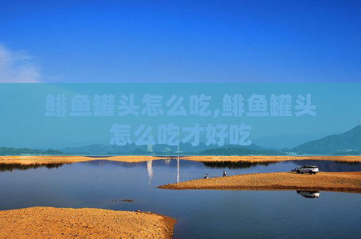 鲱鱼罐头怎么吃,鲱鱼罐头怎么吃才好吃