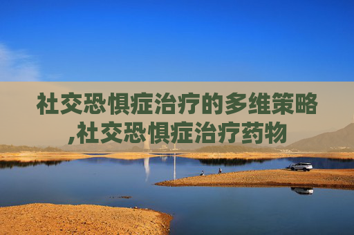 社交恐惧症治疗的多维策略,社交恐惧症治疗药物