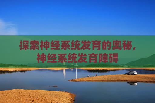 探索神经系统发育的奥秘,神经系统发育障碍