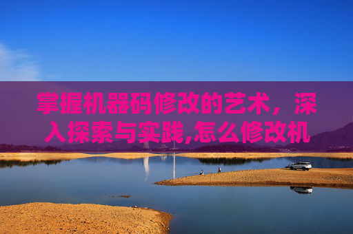 掌握机器码修改的艺术，深入探索与实践,怎么修改机器码密码