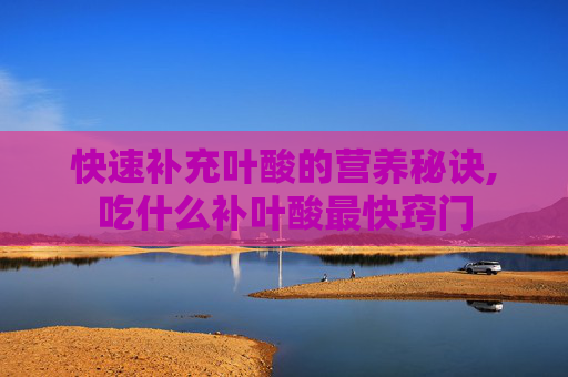 快速补充叶酸的营养秘诀,吃什么补叶酸最快窍门