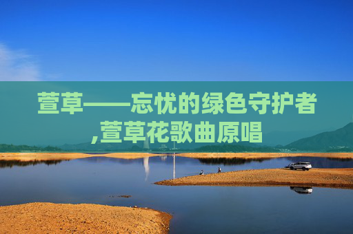 萱草——忘忧的绿色守护者,萱草花歌曲原唱