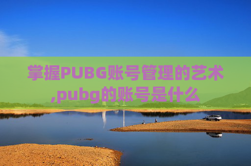 掌握PUBG账号管理的艺术,pubg的账号是什么