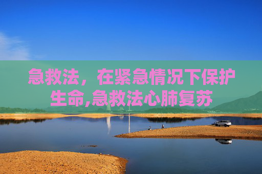急救法，在紧急情况下保护生命,急救法心肺复苏