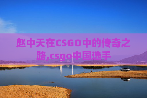 赵中天在CSGO中的传奇之路,csgo中国选手