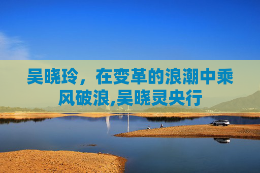 吴晓玲，在变革的浪潮中乘风破浪,吴晓灵央行