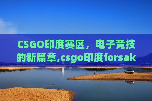 CSGO印度赛区，电子竞技的新篇章,csgo印度forsaken