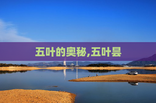 五叶的奥秘,五叶昙