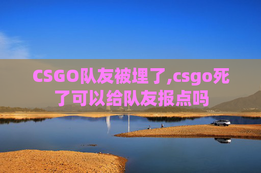 CSGO队友被埋了,csgo死了可以给队友报点吗