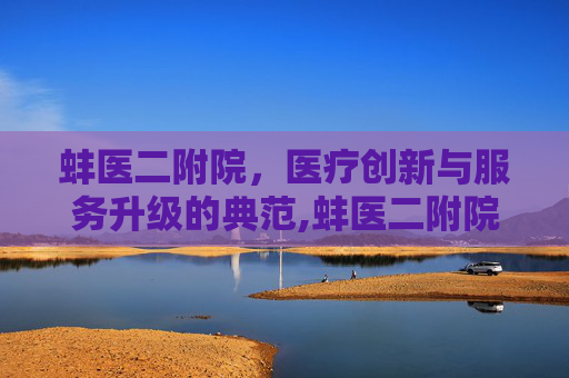 蚌医二附院，医疗创新与服务升级的典范,蚌医二附院官网首页