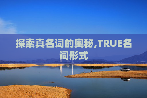 探索真名词的奥秘,TRUE名词形式
