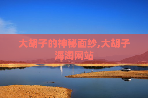 大胡子的神秘面纱,大胡子海淘网站