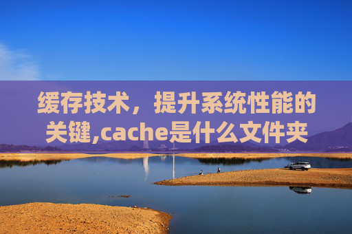缓存技术，提升系统性能的关键,cache是什么文件夹