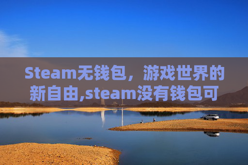 Steam无钱包，游戏世界的新自由,steam没有钱包可以交易报价吗