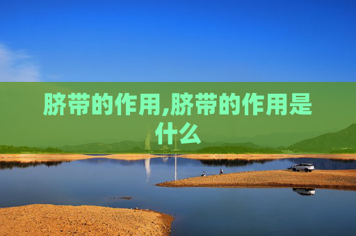 脐带的作用,脐带的作用是什么