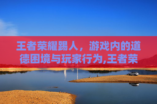 王者荣耀踢人，游戏内的道德困境与玩家行为,王者荣耀踢人机制