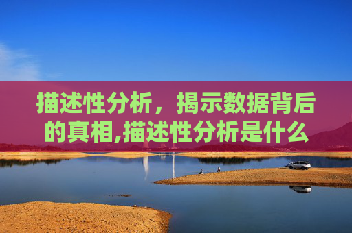 描述性分析，揭示数据背后的真相,描述性分析是什么