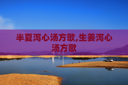 半夏泻心汤方歌,生姜泻心汤方歌