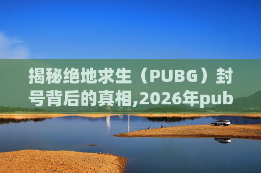 揭秘绝地求生（PUBG）封号背后的真相,2026年pubg封号图片无水印