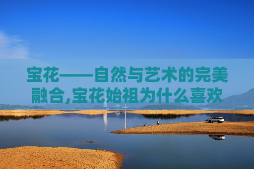 宝花——自然与艺术的完美融合,宝花始祖为什么喜欢韩立