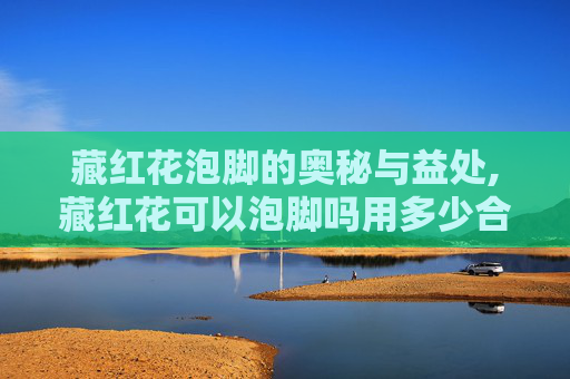 藏红花泡脚的奥秘与益处,藏红花可以泡脚吗用多少合适