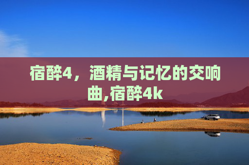 宿醉4，酒精与记忆的交响曲,宿醉4k