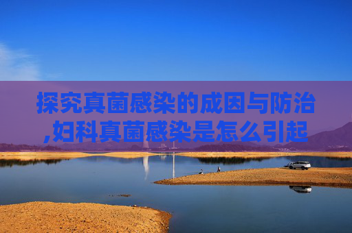 探究真菌感染的成因与防治,妇科真菌感染是怎么引起的