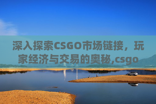 深入探索CSGO市场链接，玩家经济与交易的奥秘,csgo市场服务器连接失败