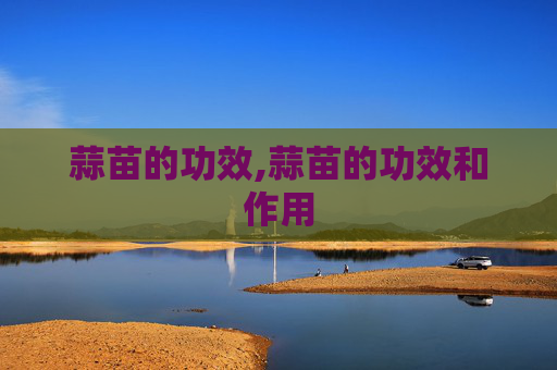 蒜苗的功效,蒜苗的功效和作用