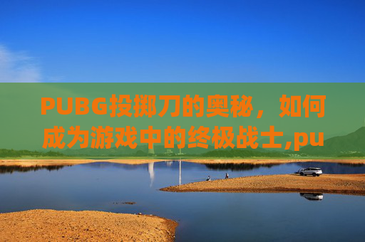 PUBG投掷刀的奥秘，如何成为游戏中的终极战士,pubg投掷弹药