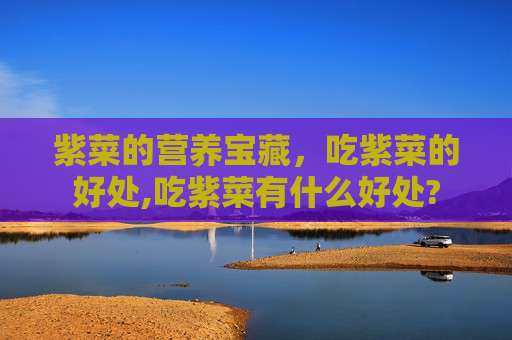 紫菜的营养宝藏，吃紫菜的好处,吃紫菜有什么好处?