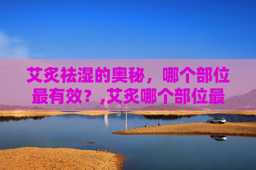 艾炙祛湿的奥秘，哪个部位最有效？,艾炙哪个部位最祛湿气