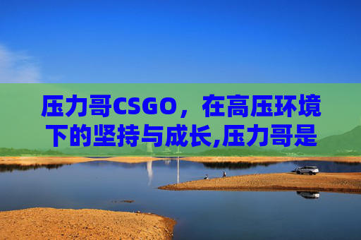 压力哥CSGO，在高压环境下的坚持与成长,压力哥是什么意思