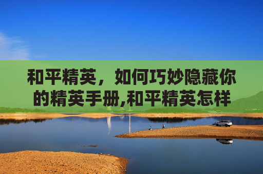 和平精英，如何巧妙隐藏你的精英手册,和平精英怎样隐藏精英手册皮肤