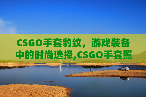 CSGO手套豹纹，游戏装备中的时尚选择,CSGO手套照片