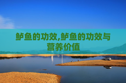 鲈鱼的功效,鲈鱼的功效与营养价值